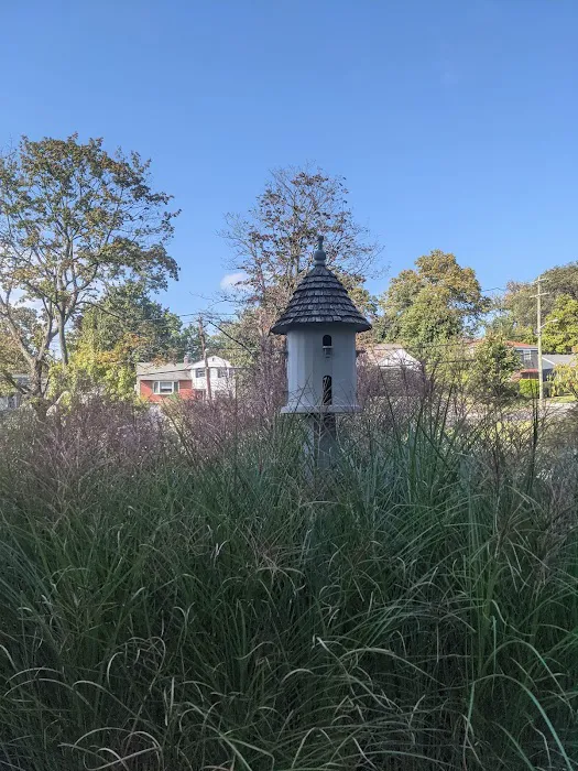 Kane Park Picture 6