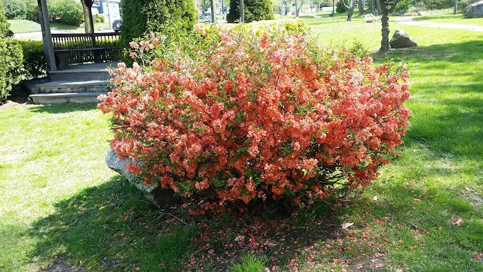 Kane Park Picture 3