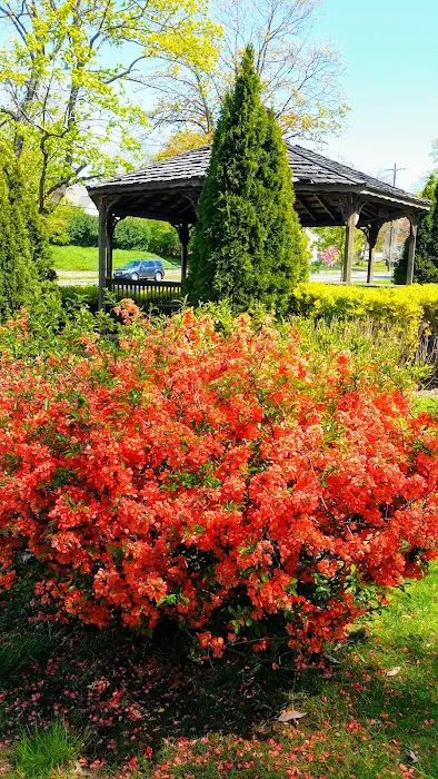Kane Park Picture 8