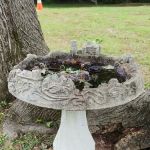 Village-Larchmont Recreation