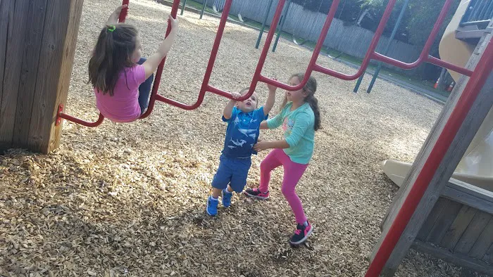 Larchmont Flint Park Picture 8