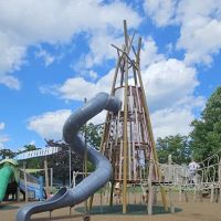 Larchmont Flint Park ico