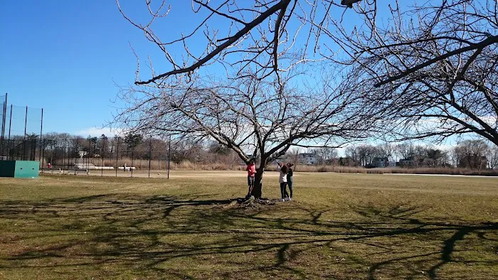 Larchmont Flint Park Picture 6
