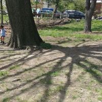 Wakefield Park ico