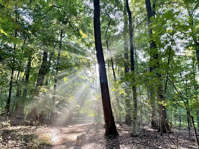 Nature Study Woods Picture 1