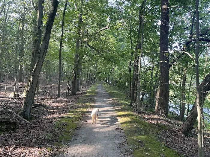 Nature Study Woods Picture 6