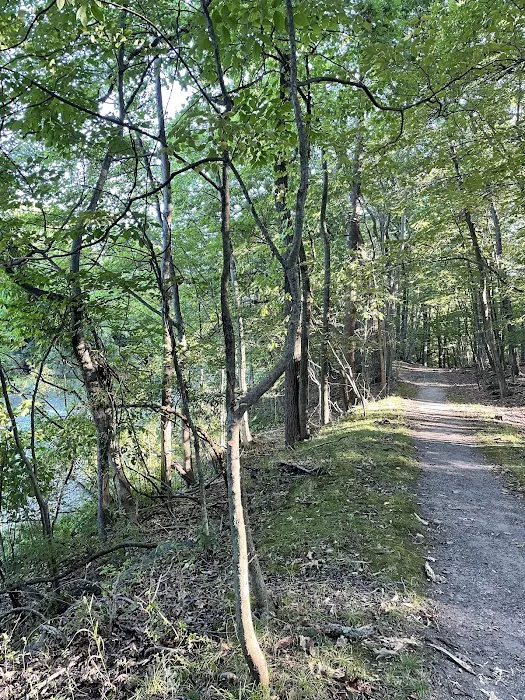 Nature Study Woods Picture 7