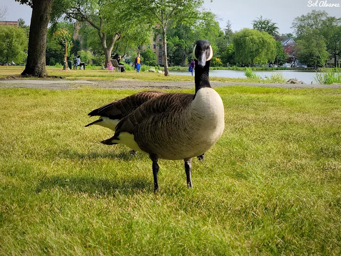 Huguenot Park Picture 4