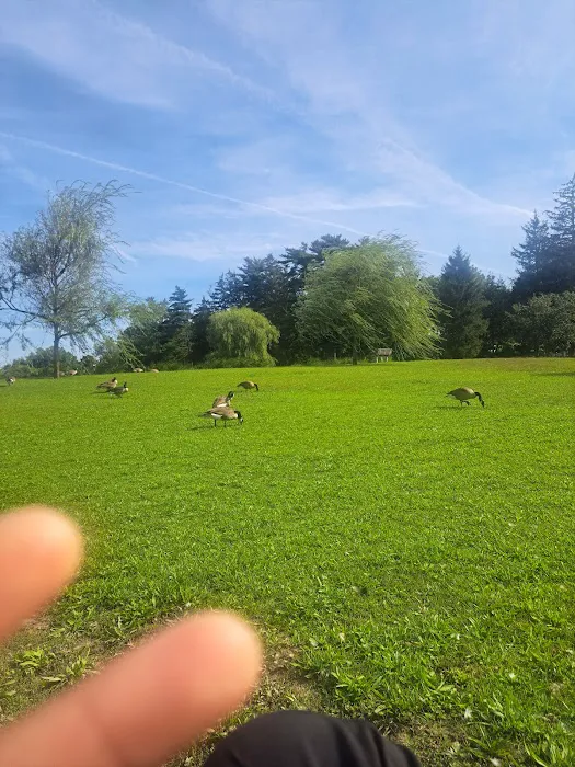 Huguenot Park Picture 6