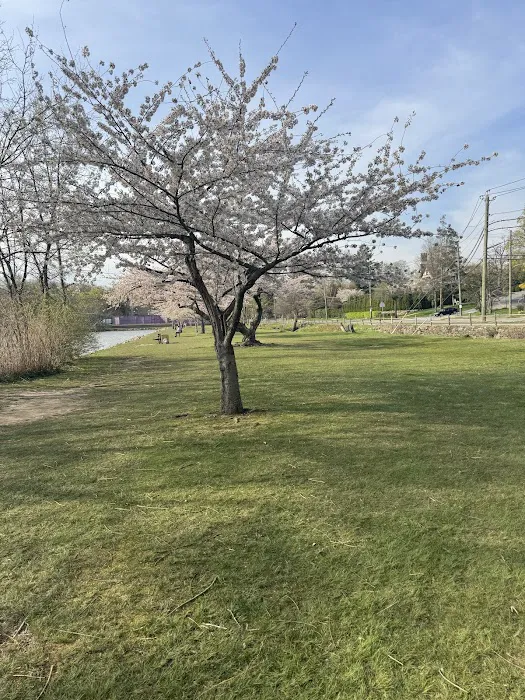 Huguenot Park Picture 9