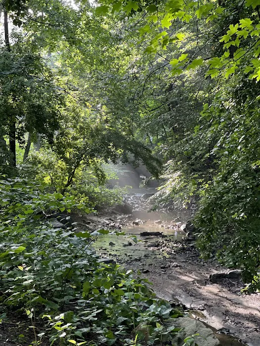 Hunt's Woods Park Picture 1