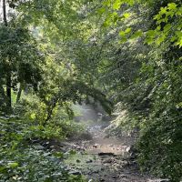 Hunt's Woods Park ico