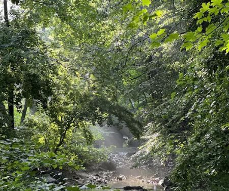 Hunt's Woods Park