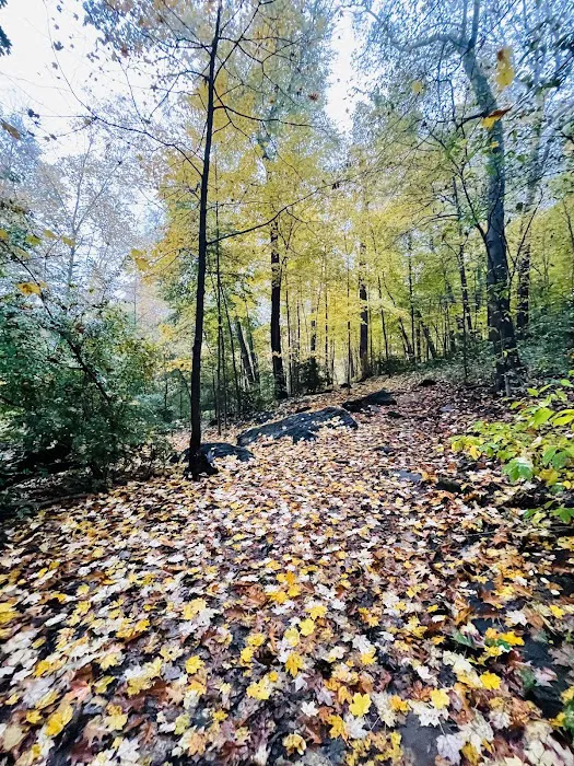 Hunt's Woods Park Picture 4