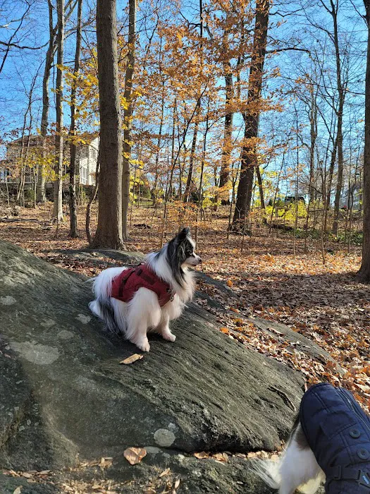 Hunt's Woods Park Picture 3