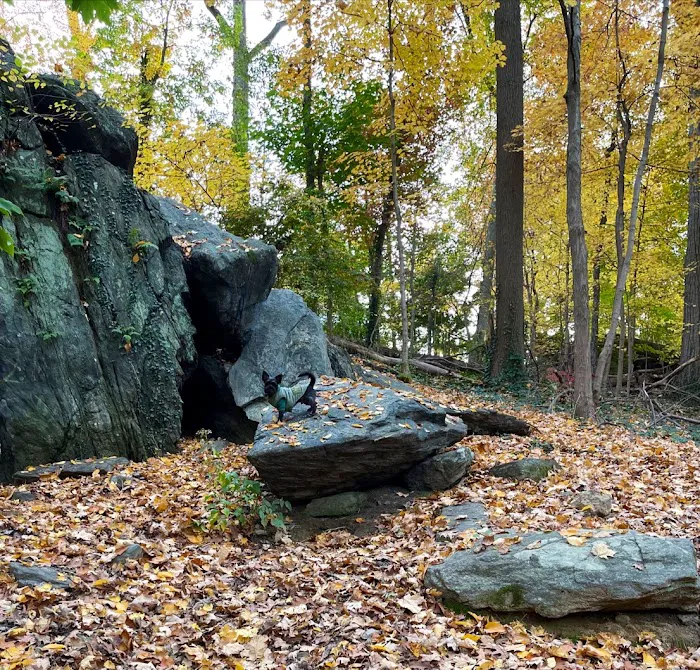 Hunt's Woods Park Picture 9