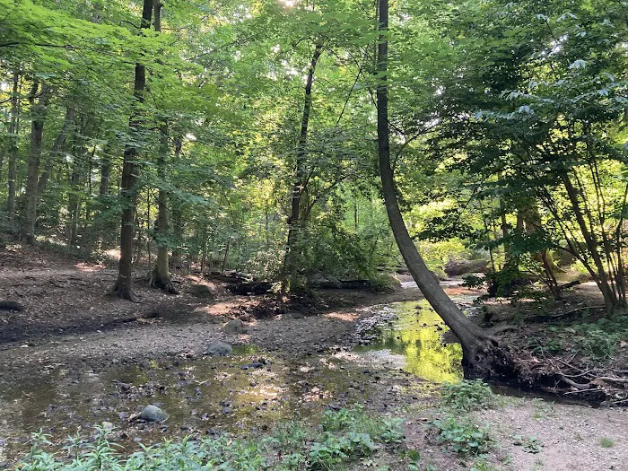 Hunt's Woods Park Picture 6