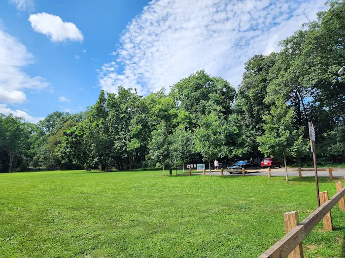 Scout Field Picture 1