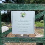 Bronxville Giving Garden