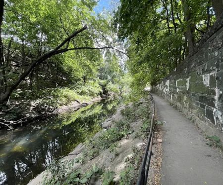 Muskrat Cove