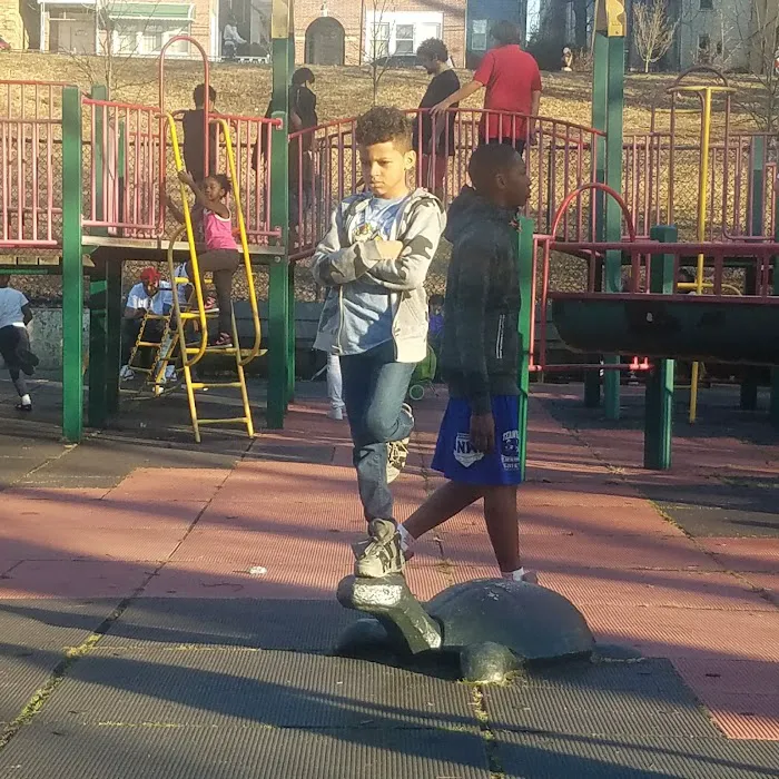 Shoelace Park Picture 3