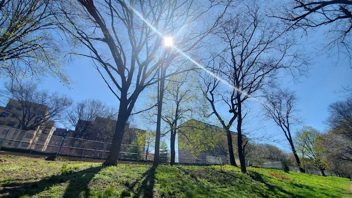 Shoelace Park Picture 7