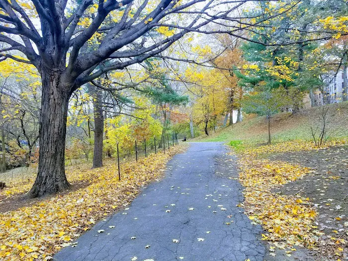 Shoelace Park Picture 5