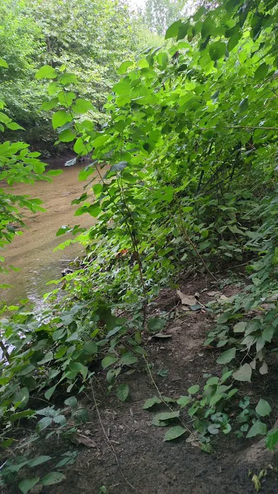 Shoelace Park Picture 2