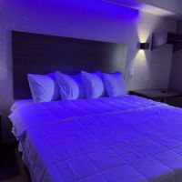 THE VINE HOTEL BRONX ico