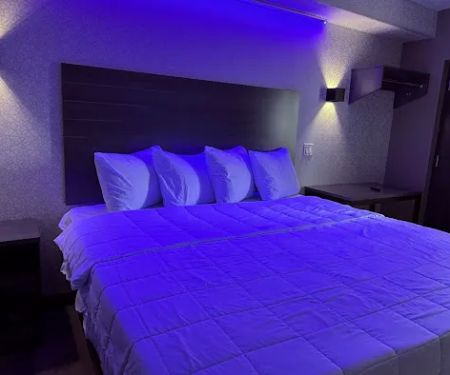 THE VINE HOTEL BRONX