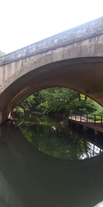 Hyman Park Picture 4