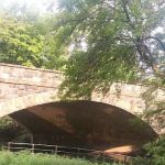 Hyman Park