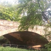Hyman Park ico