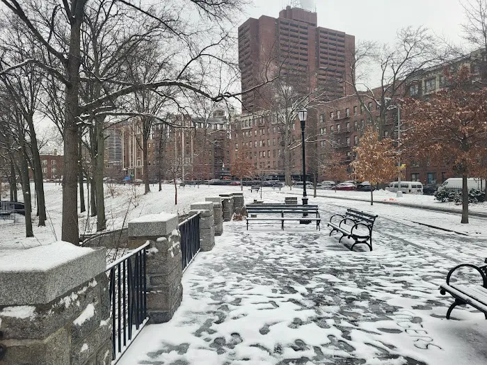 Williamsbridge Oval Picture 6