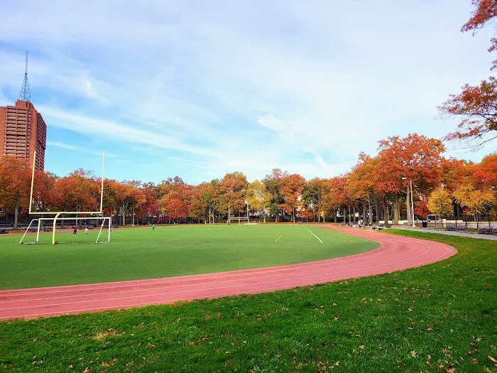Williamsbridge Oval Picture 5
