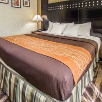 Rodeway Inn Bronx Zoo ico