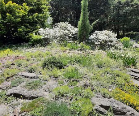 Rock Garden, NYBG