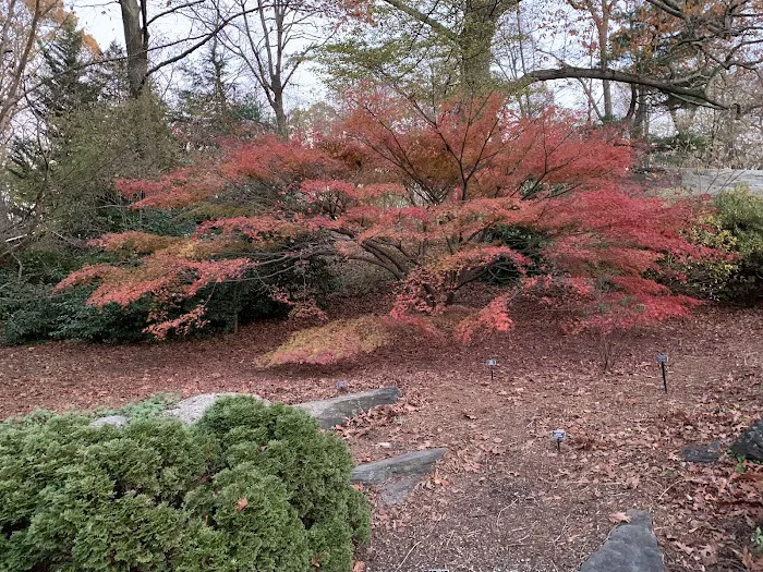 Rock Garden, NYBG Picture 10