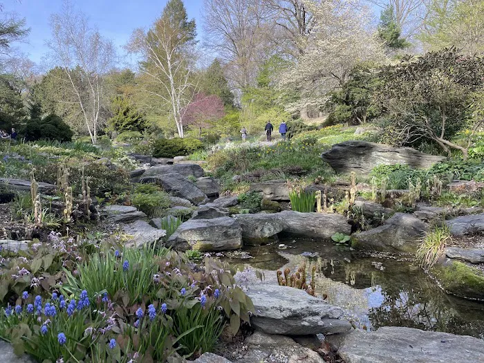 Rock Garden, NYBG Picture 7
