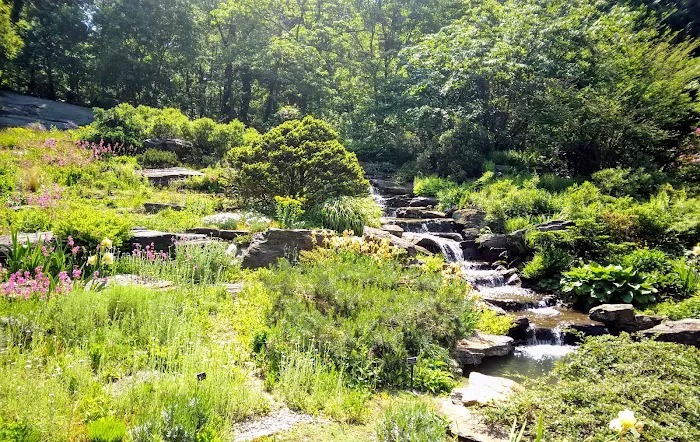Rock Garden, NYBG Picture 9