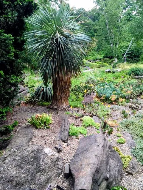 Rock Garden, NYBG Picture 3