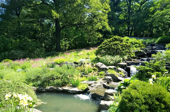 Rock Garden, NYBG Picture 8