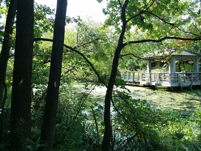 Mitsubishi Wild Wetland Trail Picture 5