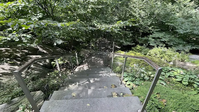 Mitsubishi Wild Wetland Trail Picture 1