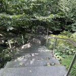 Mitsubishi Wild Wetland Trail