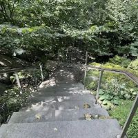 Mitsubishi Wild Wetland Trail ico