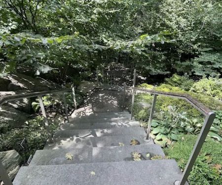 Mitsubishi Wild Wetland Trail