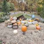 Everett Children's Adventure Garden, NYBG