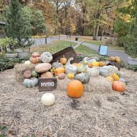 Everett Children's Adventure Garden, NYBG ico