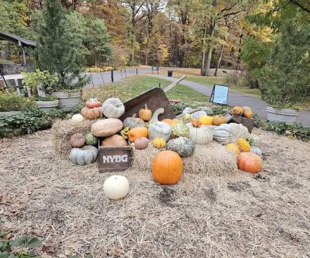 Everett Children's Adventure Garden, NYBG